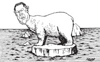 Gore